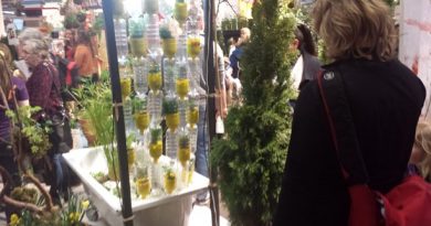 A hydroponic bathtub at the "Rum utan ramar" stand. (Vincent Cavalier/Sveriges Radio)