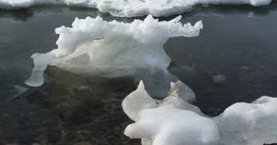 Dwindling sea ice… (Irene Quaile)