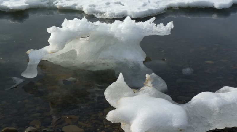 Dwindling sea ice… (Irene Quaile)