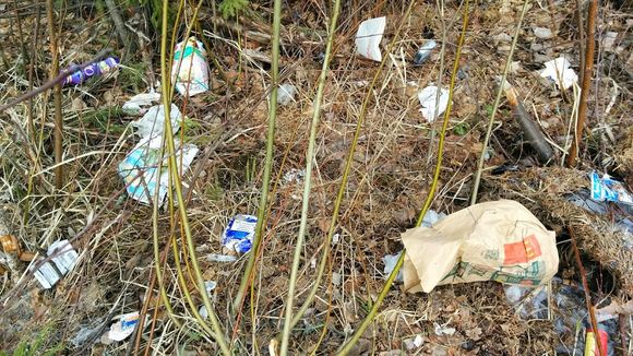 A sure sign of spring. (Elina Niemistö / Yle)