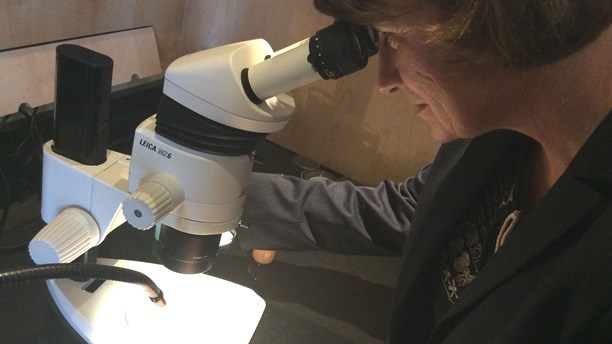 Ecotoxikologist Katja Broeg. (Agnes Faxén/SR)