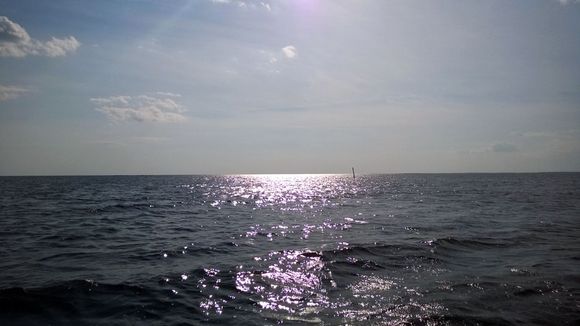 Decades of efforts to protect the Baltic Sea environment mean that some parts can still boast clean waters. (Laura Holappa / Yle0