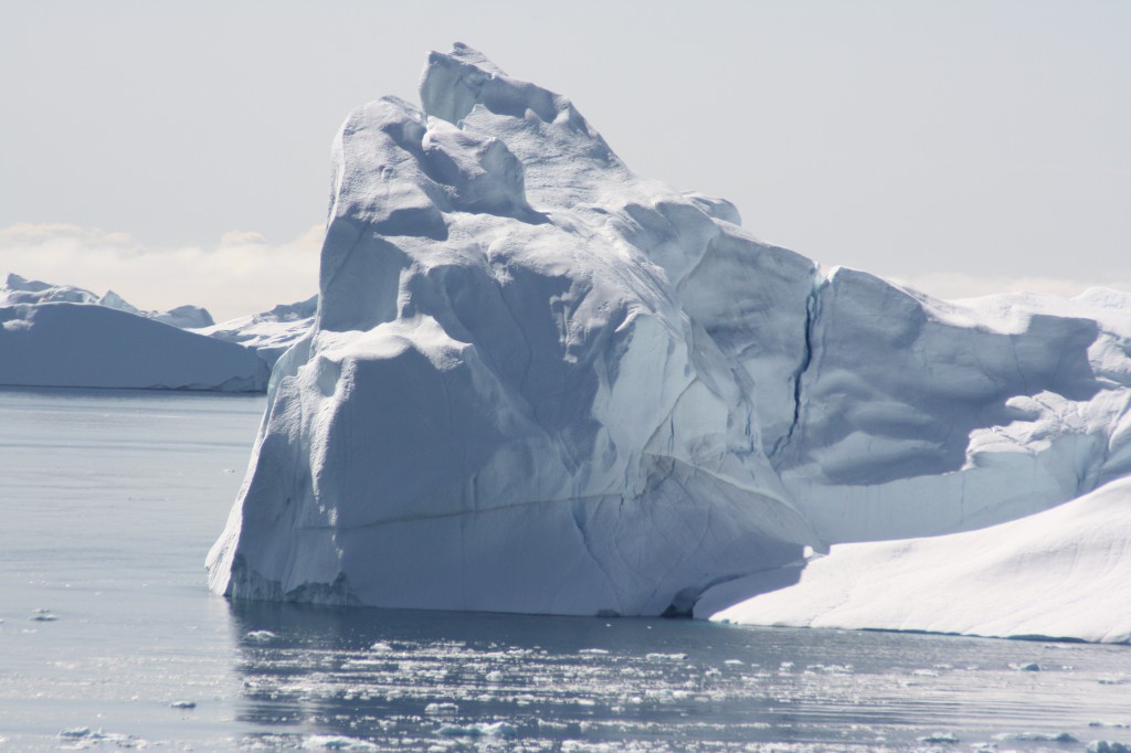 Can Paris slow ice melt? (Irene Quaile/Deutsche Welle)