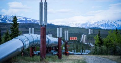 Oil flow in the trans-Alaska Pipeline -- shown here near Delta Junction in a June 2014 file photo -- slowed by about 200,000 barrels in early May, in response to a storage crunch in Valdez. (Loren Holmes/Alaska Dispatch News)