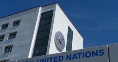 Preparing for Paris: Staff at UNFCCC headquarters in Bonn are working overtime. (Irene Quaile/Deutsche Welle)