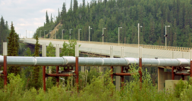 The Trans-Alaska Pipeline near the Dalton Highway.(Barry Williams/Getty Images)