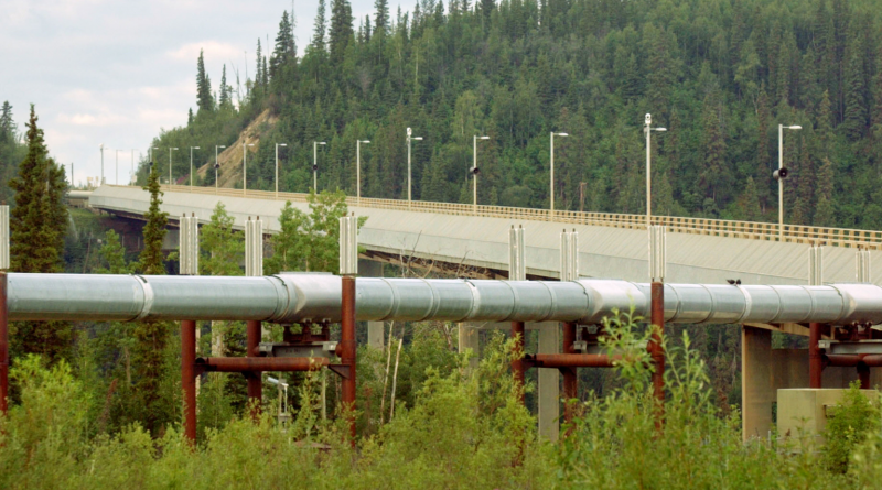 The Trans-Alaska Pipeline near the Dalton Highway.(Barry Williams/Getty Images)