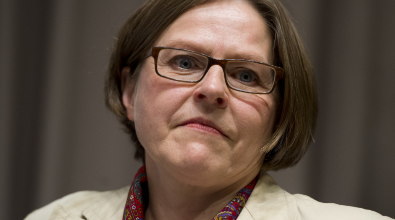 Heidi Hautala speaking at World Bank Headquarters in 2013. (Saul Loeb/AFP/Getty Images)