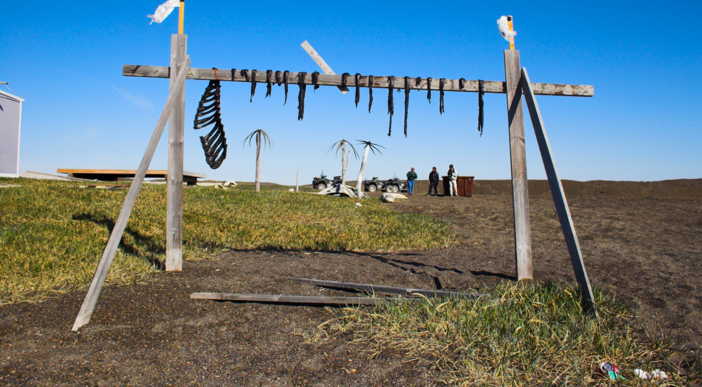 Scene from Inupiaq region of Alaska. (iStock)