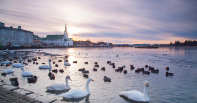 A view of Reykjavik, Iceland's capital city. (iStock)