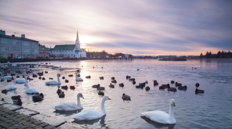 A view of Reykjavik, Iceland's capital city. (iStock)