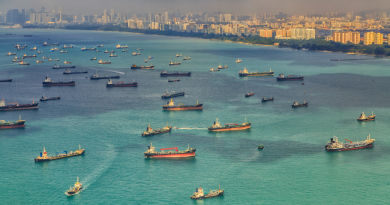 Cargo ships entering Singapore in 2014. What can other countries learn from Singapore's engagement with the Arctic? (iStock)