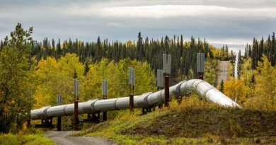 The Trans-Alaska Pipeline, seen near Copper Center on Tuesday, Sept. 9, 2014. (Loren Holmes / Alaska Dispatch News)