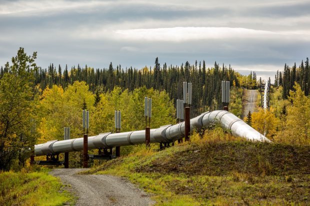 The Trans-Alaska Pipeline, seen near Copper Center on Tuesday, Sept. 9, 2014. (Loren Holmes / Alaska Dispatch News)