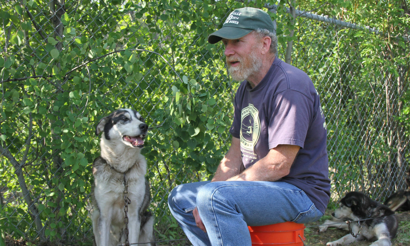 Steve Charles sits alongside his sled dog, Bridger, at an American Red Cross evacuation center in Houston, Alaska, on Monday, June 15, 2015. Many mushers had to flee their homes,with their sled dogs, as wildfire spread near Willow, Alaska. (Mark Thiessen/AP)