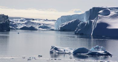 The Sermeq Kujualleq glacier discharges icebergs into the sea. (Irene Quaile/Ilulissat, 2009)