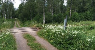 Are faulty computer systems to blame for the under reporting of train collisions with wildlife? (Henrik Svensson/Sveriges Radio)