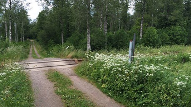 Are faulty computer systems to blame for the under reporting of train collisions with wildlife? (Henrik Svensson/Sveriges Radio)
