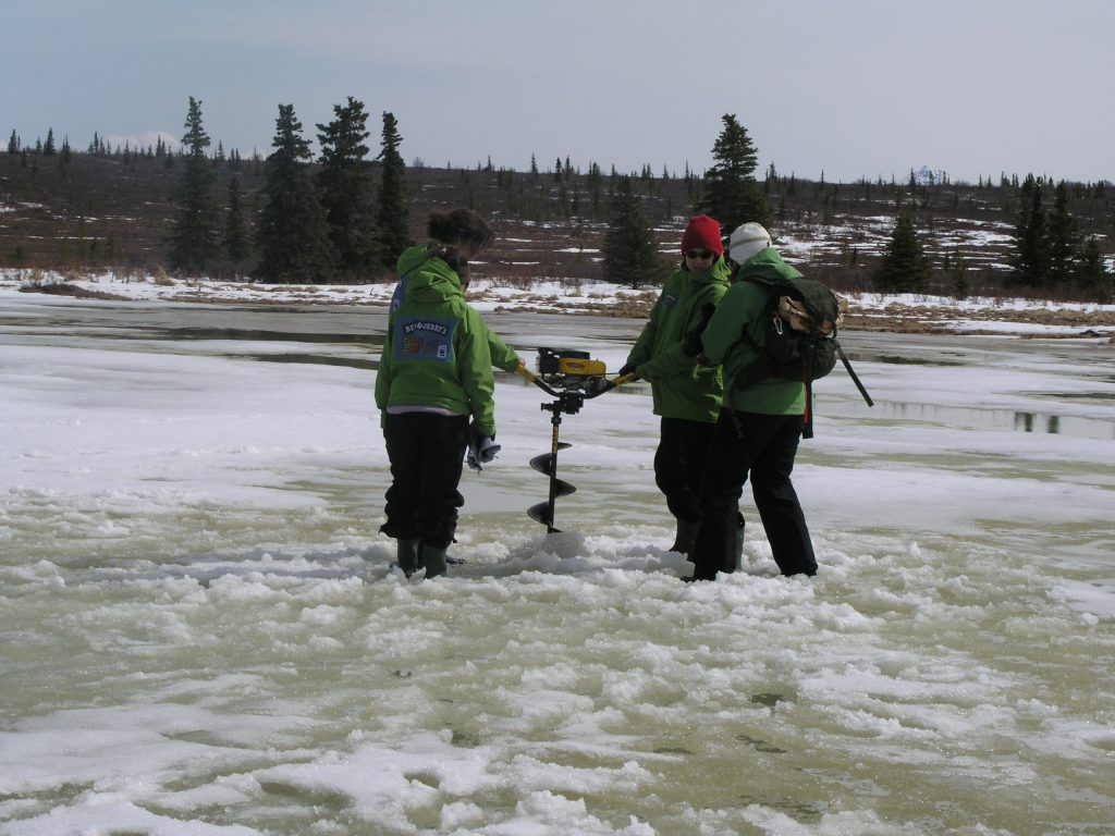 Greenhouse gases are captured under Arctic permafrost. (I. Quaile)