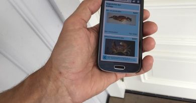 Monitoring Sweden's 2,700 km long coastline for unfamiliar species is no easy task. That's why scientists have created an app so the public can help out. (Anton Eriksson/Sveriges Radio P4 Väst)