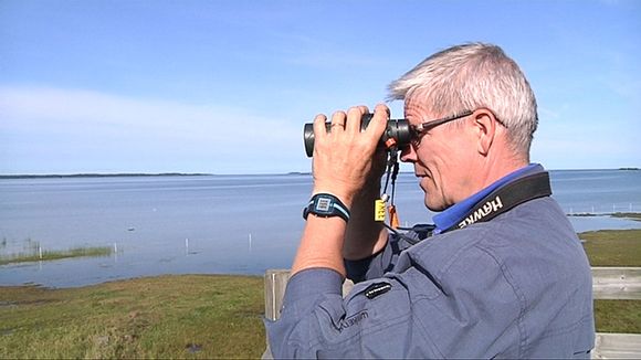 Biologist Harri Hongell says he once received death threats over a bog protection project. (Kalle Niskala / Yle)