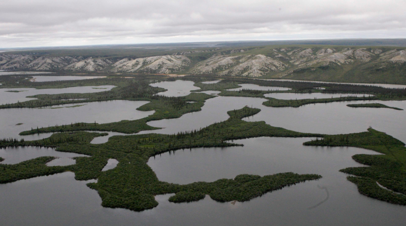 The Mackenzie River Delta, in Northwest Territories, Canada, is shown. (Rick Bowmer/AP)