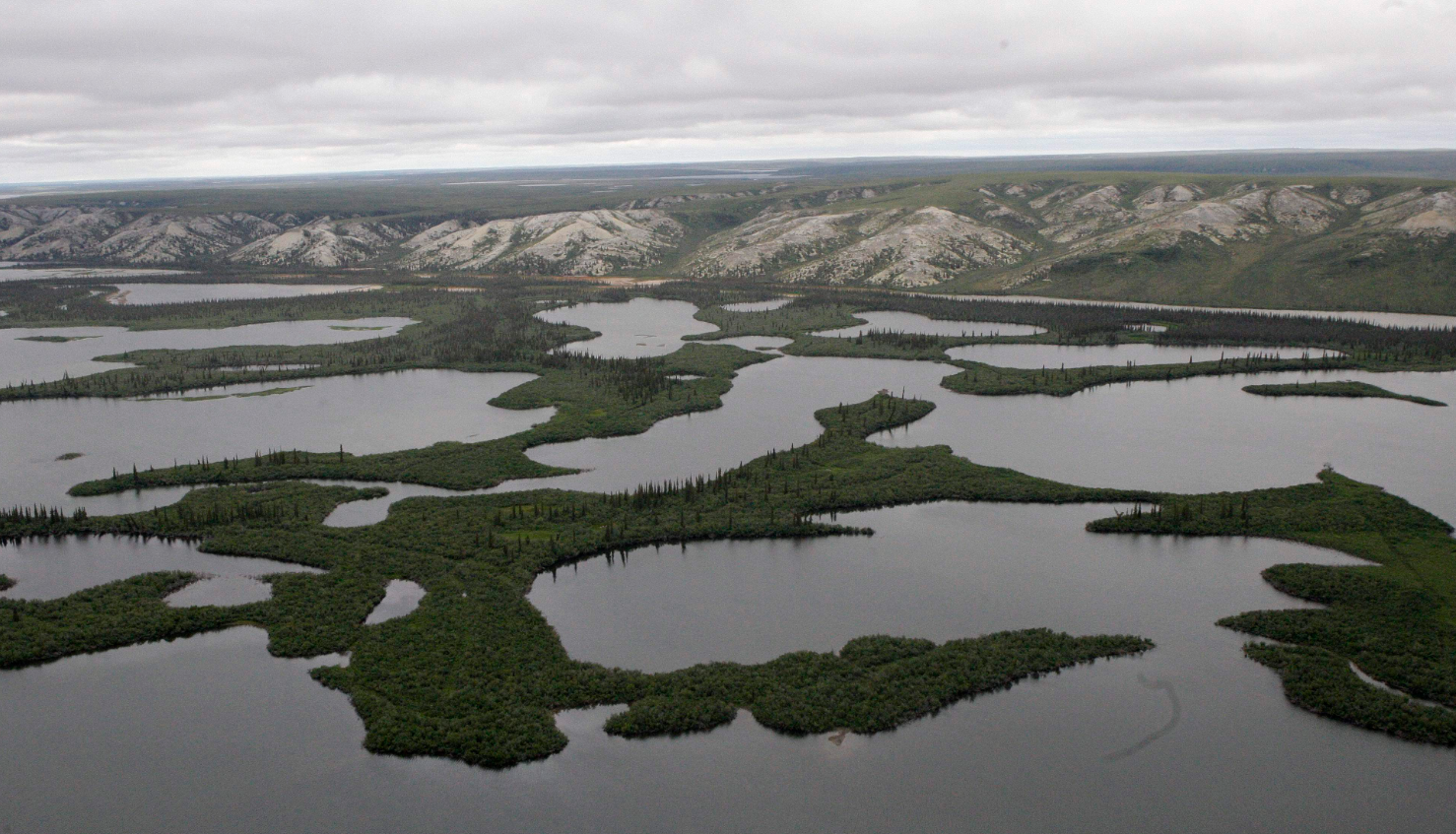The Mackenzie River Delta, in Northwest Territories, Canada, is shown. (Rick Bowmer/AP)