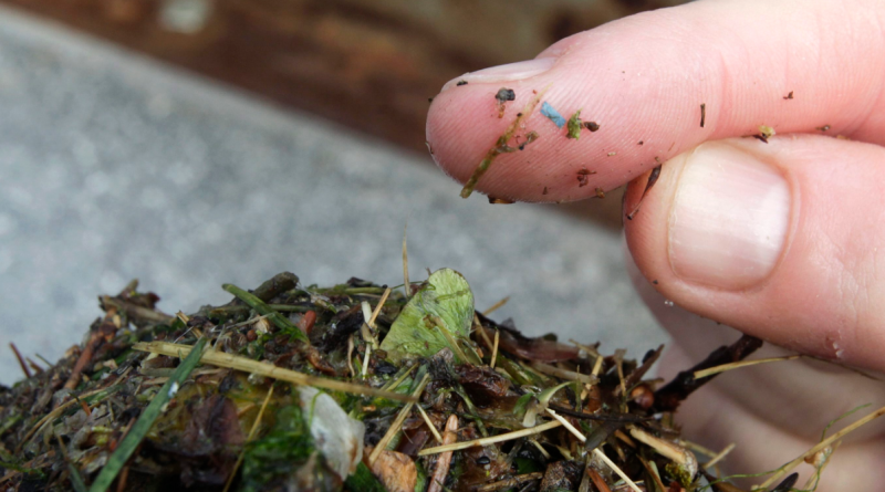 A blue rectangular piece of microplastic is visible on a researcher's finger in Washington State in 2010. (Ted S. Warren / AP)
