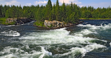 The Umba River (pictured above) on the Kola Peninsula in Russia. An outbreak of the fungal infection Saprolegnia has affected salmon in several of the region's rivers. (iStock)