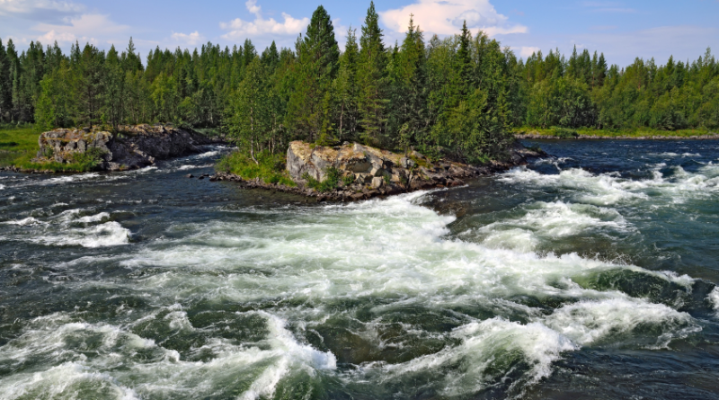 The Umba River (pictured above) on the Kola Peninsula in Russia. An outbreak of the fungal infection Saprolegnia has affected salmon in several of the region's rivers. (iStock)