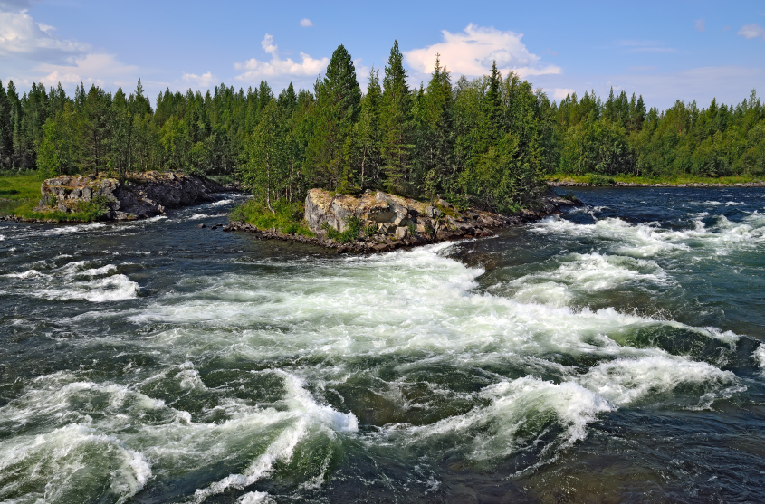 The Umba River (pictured above) on the Kola Peninsula in Russia. An outbreak of the fungal infection Saprolegnia has affected salmon in several of the region's rivers. (iStock)
