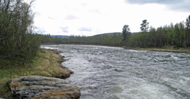 Rapids along the Vindel River. (Örjan Holmberg / Swedish Radio)