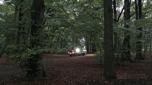 Police on the hunt for wild boar in a central park in Malmö. (Anton Kalm/Sveriges Radio)