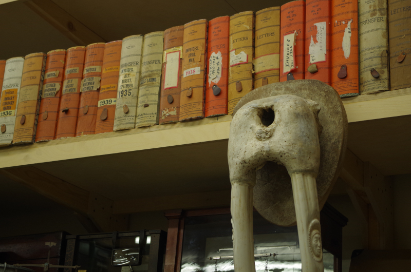Books and walrus scrimshaw in Reeves’ library. (Mia Bennett)