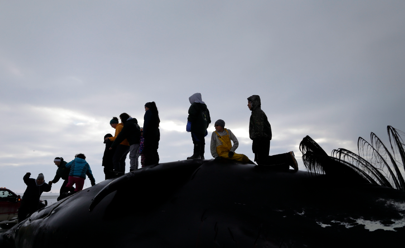 Family members and friends of the Anagi whaling crew celebrate the capture of a bowhead whale after it was brought ashore near Barrow, Alaska. Women's participation in the hunting and harpooning of whales rare. (Gregory Bull/AP)