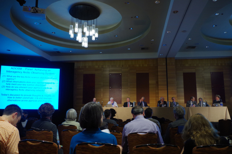 Panel Discussion: “Achieving an Interagency Arctic Observing System.” (Mia Bennett)