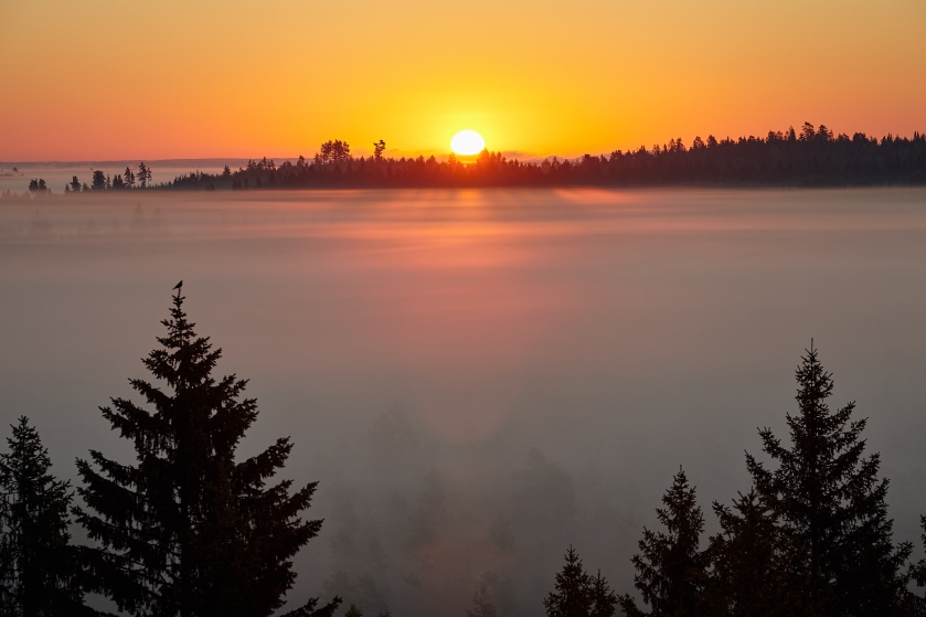 Monday brought the highest November temperature ever recorded in Finland ... before Tuesday's new record. (iStock)