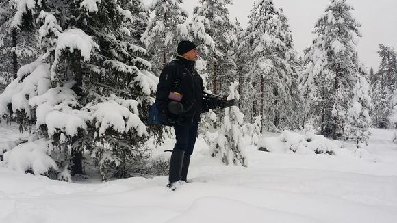 Engineers had their hands full over the weekend fixing power lines. (Uula Kuvaja / Yle)