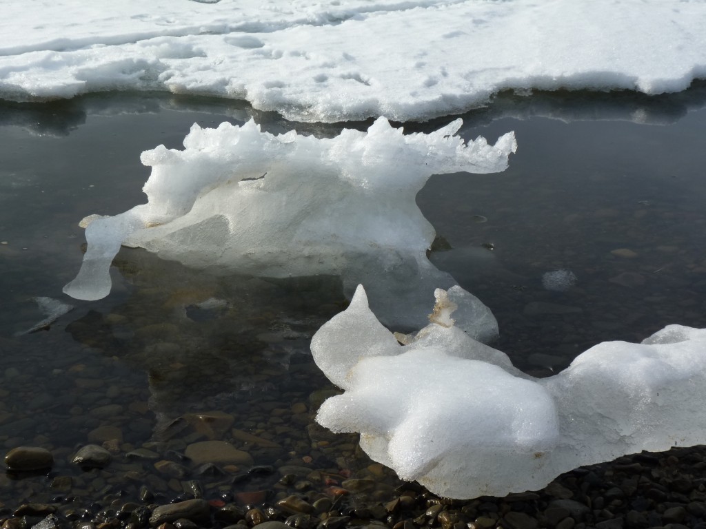 Dwindling ice… a reminder before COP21. (Irene Quaile)