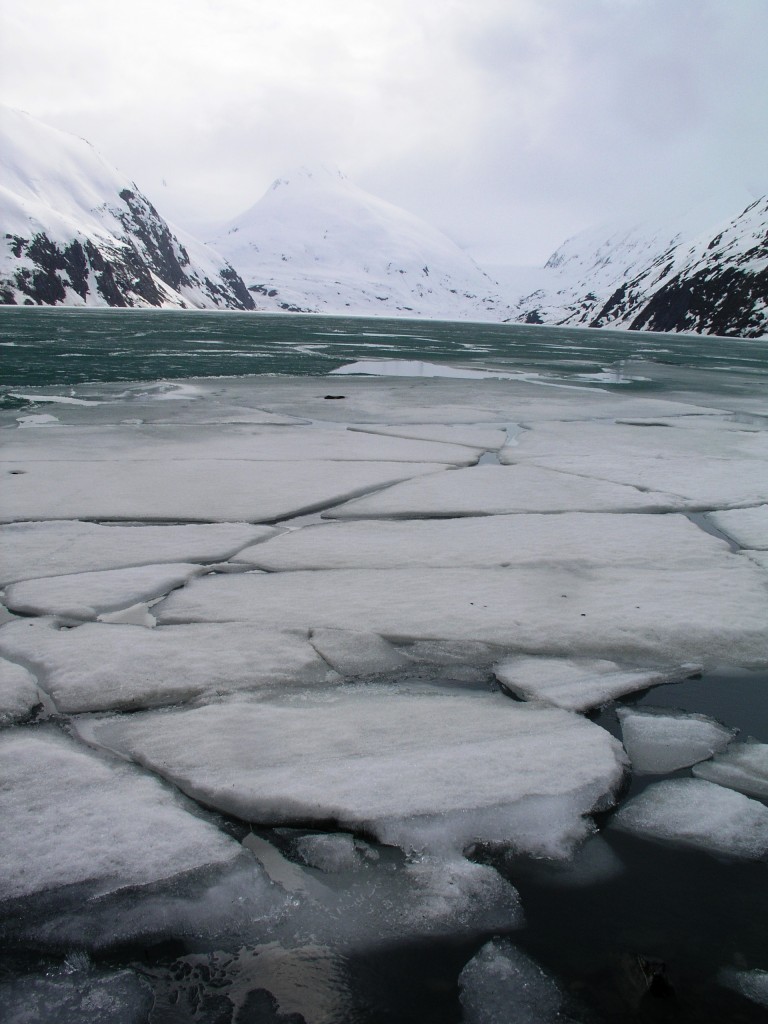 Warmer water, melting ice, warmer water…melting ice. (Irene Quaile)