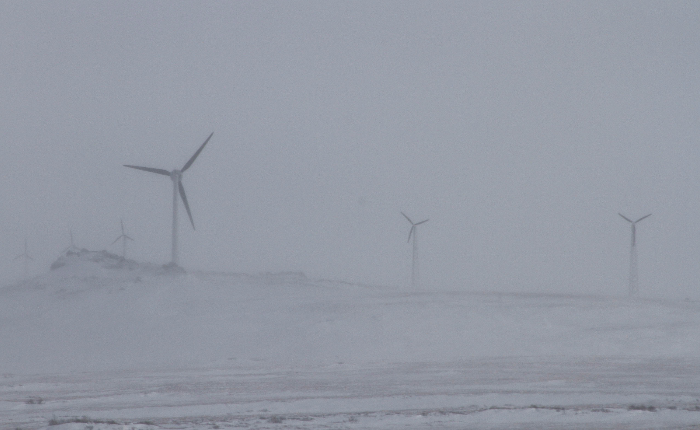 A wind farm in Alaska in 2014. New rules in the state may make it easier for small renewable energy projects to sell their power to the grid. (Mark Thiessen/AP/Getty Images)
