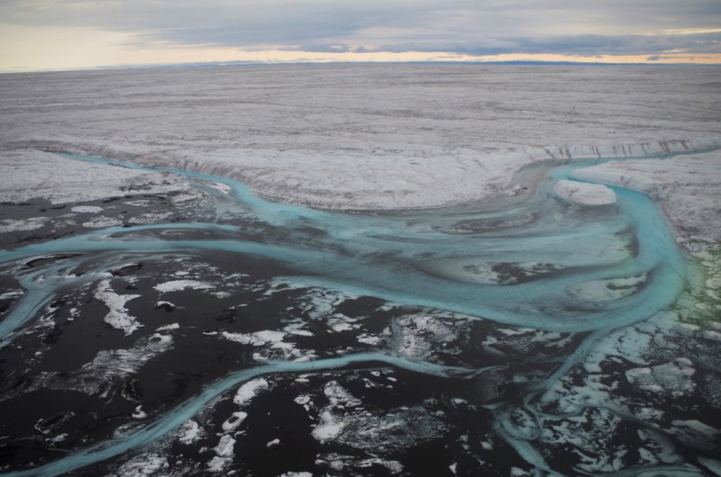 The Greenland Ice Sheet melts out partly through supraglacial rivers that slowly drain it. August 2014. (Mia Bennett)