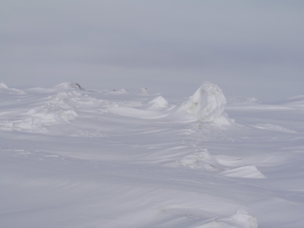 The frozen waves at Barrow reminded me of the meringue topping on Baked Alaska (Irene Quaile)