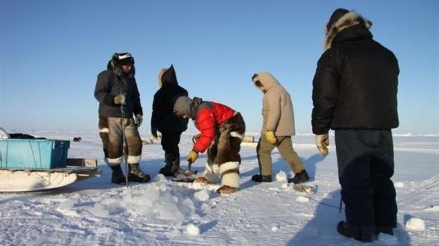 Inuit hunters in Canada’s eastern Arctic territory of Nunavut. The hunters are setting up nets to hunt fish and seal. (Levon Sevunts / Radio Canada International)