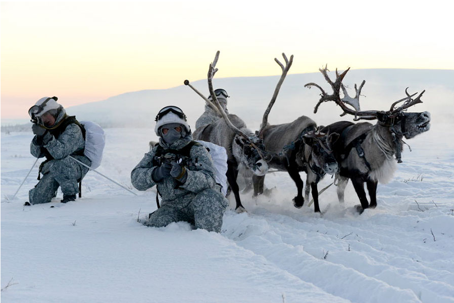 Russian soldiers trained in -30C with dog sleds and reindeer teams on a recent training exercise says the country's Ministry of Defence. (Ministry of Defence)