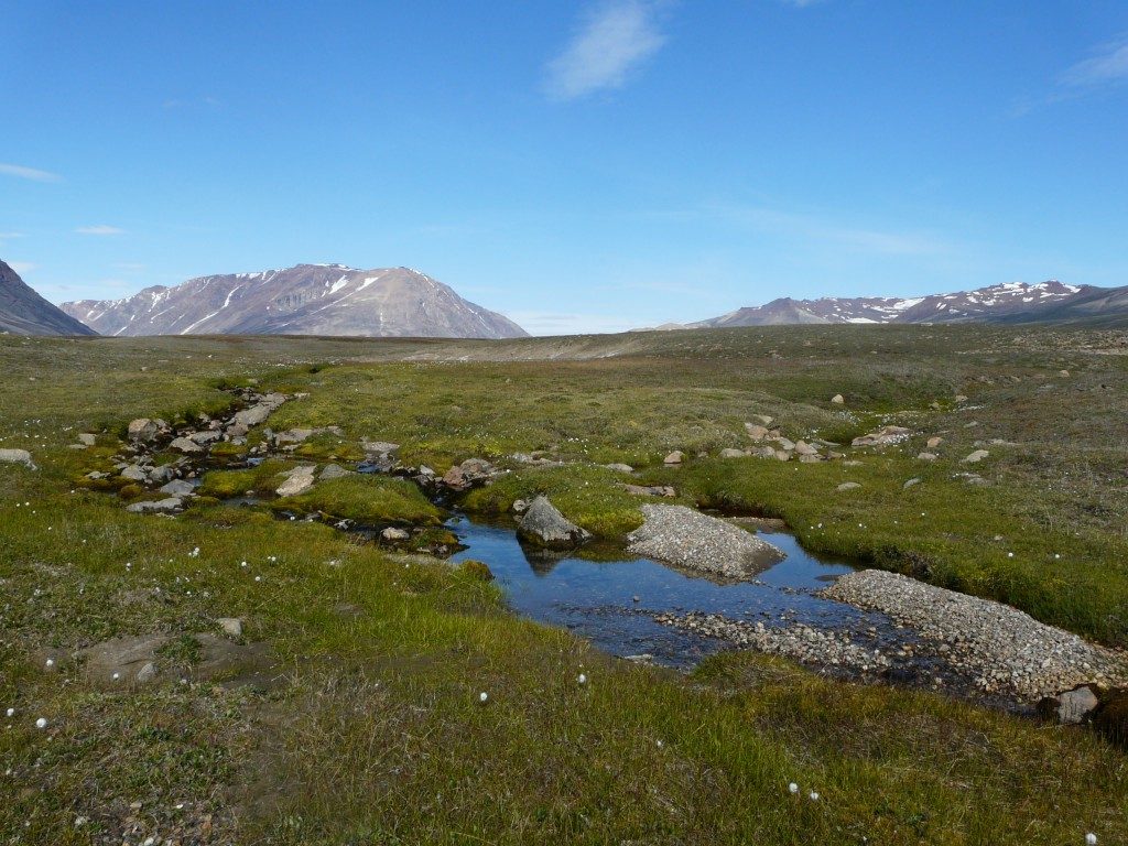 Arctic freshwater systems are changing with the climate. (Irene Quaile/ Deutsche Welle)