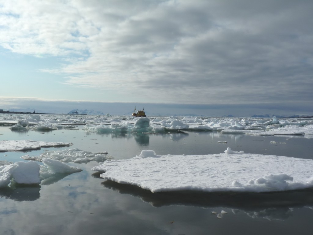 Ice on the melt (Photo: Irene Quaile)