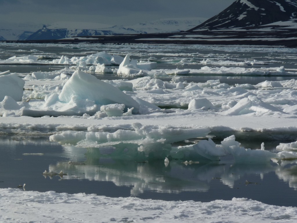 Melting ice off Svalbard (Photo: Irene Quaile)