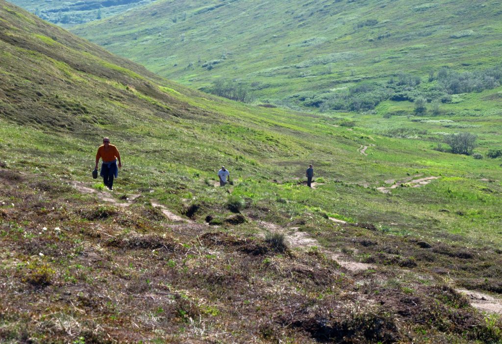 In this photo taken Wednesday, June 17, 2015, hikers explore a trail at Arctic Valley, nestled in the Chugach State Park in the greater municipality of Anchorage, Alaska. Rachel D'Oro/AP Photos