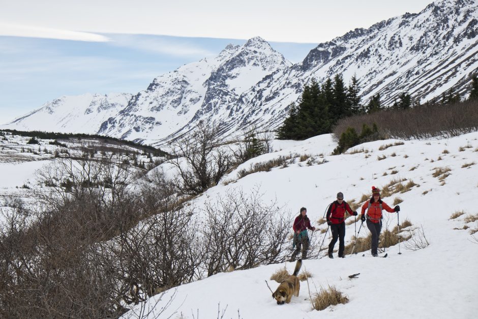 From left, Johanna Reigl, Chip Serns and Gina Wilson-Ramirez ski and along a trail in Chugach State Park near Powerline Trail on Thursday, March 31, 2016. Marc Lester / ADN